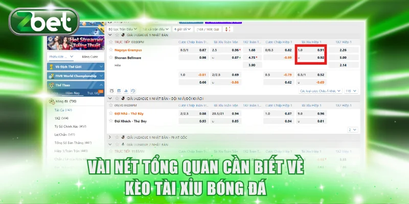 Vài nét tổng quan cần biết về kèo tài xỉu bóng đá